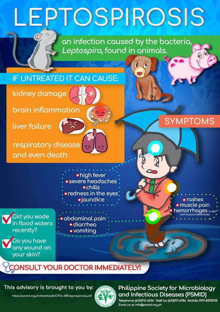 Leptospirosis